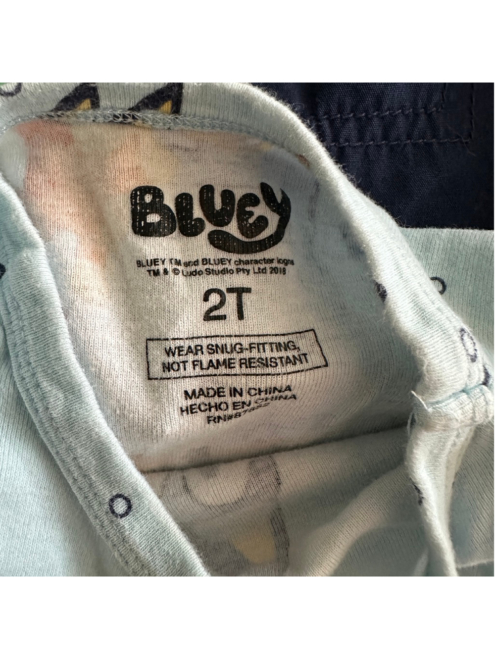 Boys Clothing Lot 2T Bluey Paw Patrol Champion Shirts Shorts 7 Pc - Picture 6 of 16
